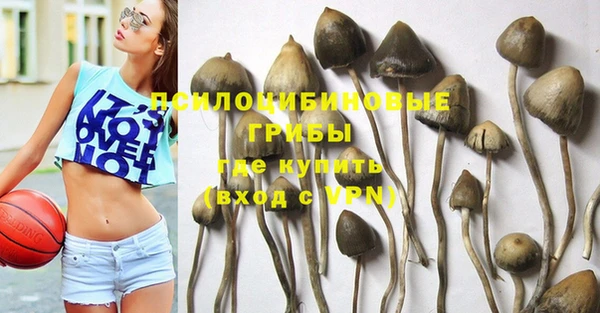 прущие грибы Балабаново