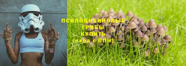 прущие грибы Балабаново