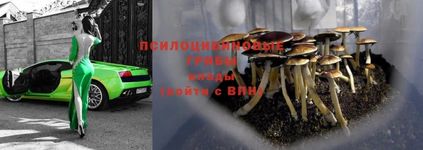 марки nbome Белокуриха